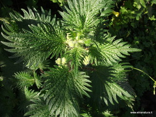 zzena-11-03-2013 08-45-36